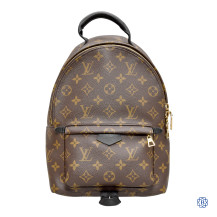 Louis Vuitton Palm Springs Mini Monogram Backpack