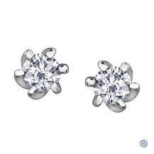 10kt White Gold Canadian Diamond Earrings