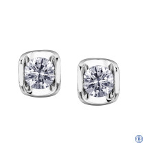 10kt White Gold Canadian Diamond Earrings