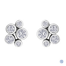 Diamond Envy 10kt White Gold And Diamond Earrings