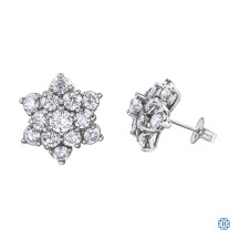 Diamond Envy 10kt White Gold Earrings