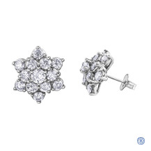 Diamond Envy 10kt White Gold Earrings