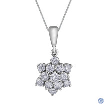 Diamond Envy 10kt white gold diamond pendant with chain